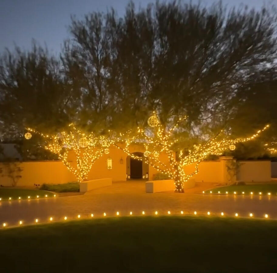 Tree Lights
